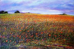 Baker_Poppy Series #89 Baker_Poppy Series #89