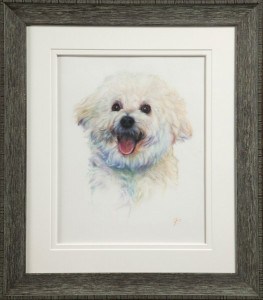puppy 1
