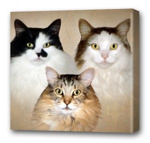 Pet Art