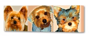 Pet Art