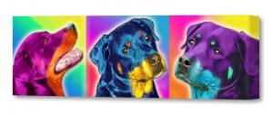 Pet Art